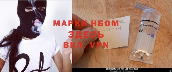 гашик Надым