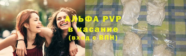 гашик Надым
