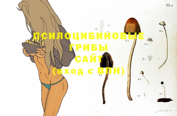 гашик Надым