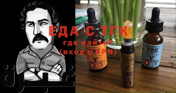 гашик Надым
