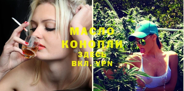 гашик Надым