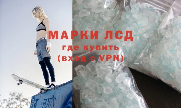 гашик Надым
